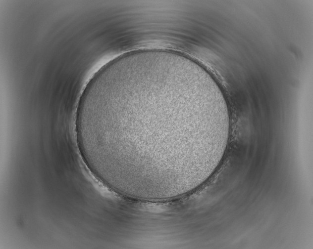 X0000112491086200908311427