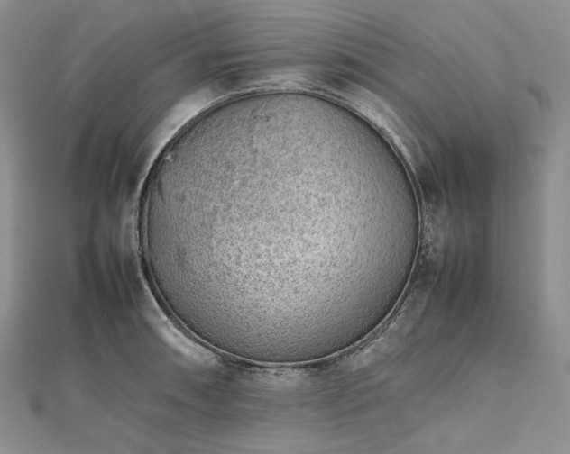 X0000112491090200908311427