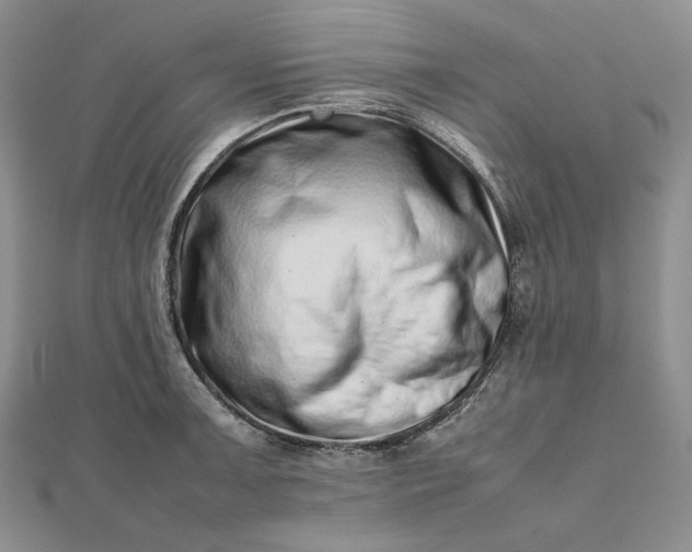 X0000112491091200908311427