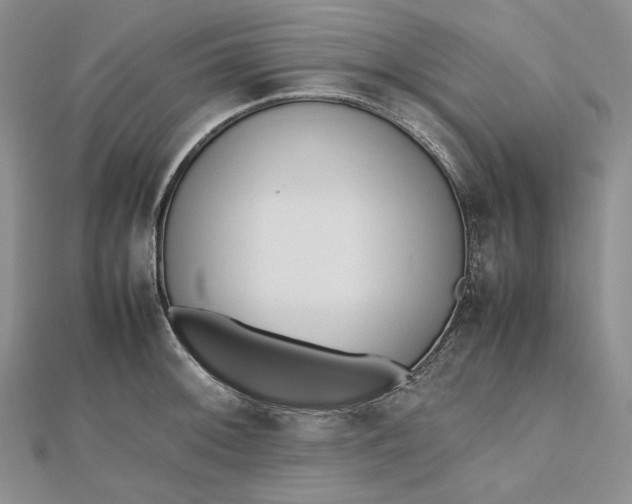 X0000112491092200908311427