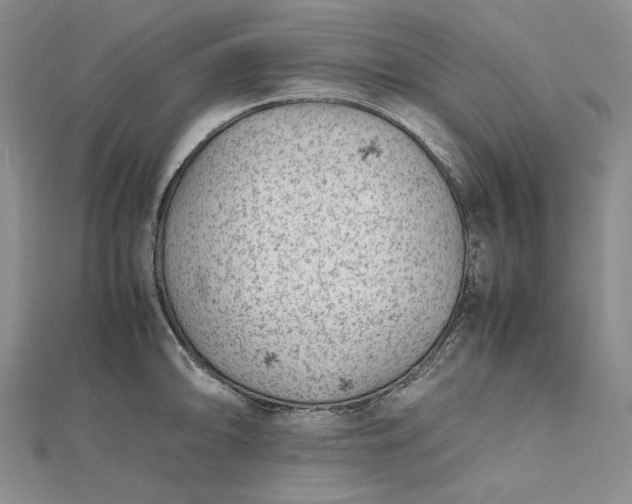 X0000112491094200908311427