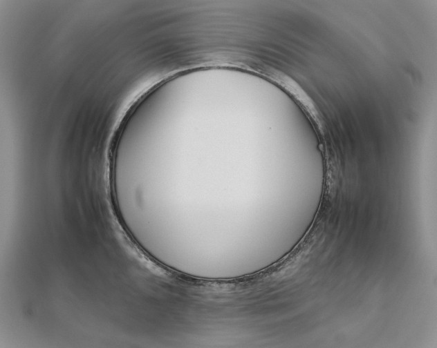 X0000112491096200908311427