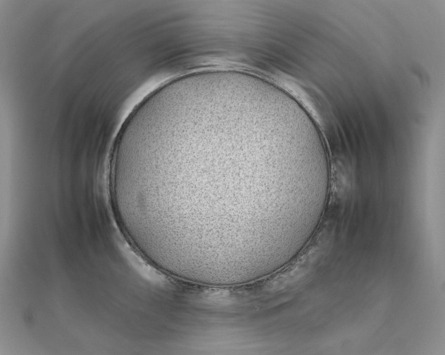 X0000112491098200908311427