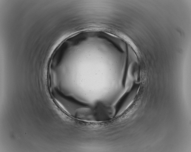 X0000112491099200908311427