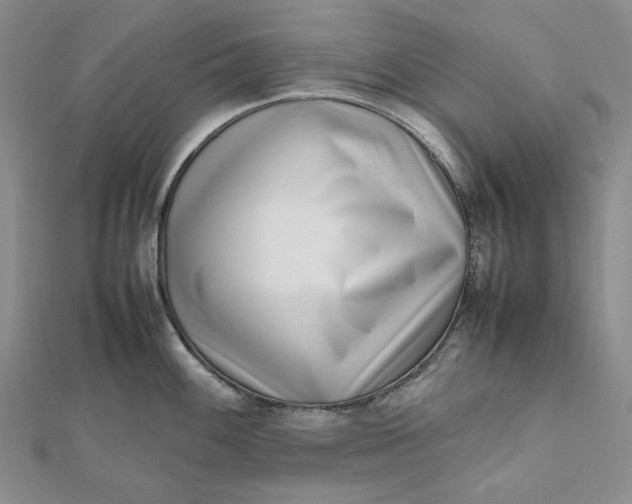 X0000112491100200908311427