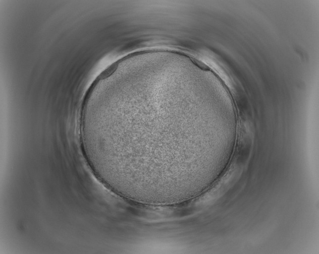 X0000112491101200908311427