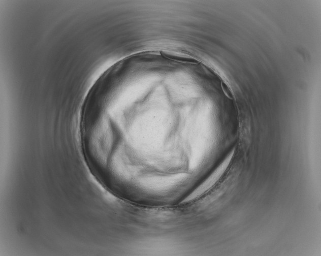 X0000112491103200908311426