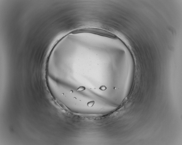 X0000112491104200908311426