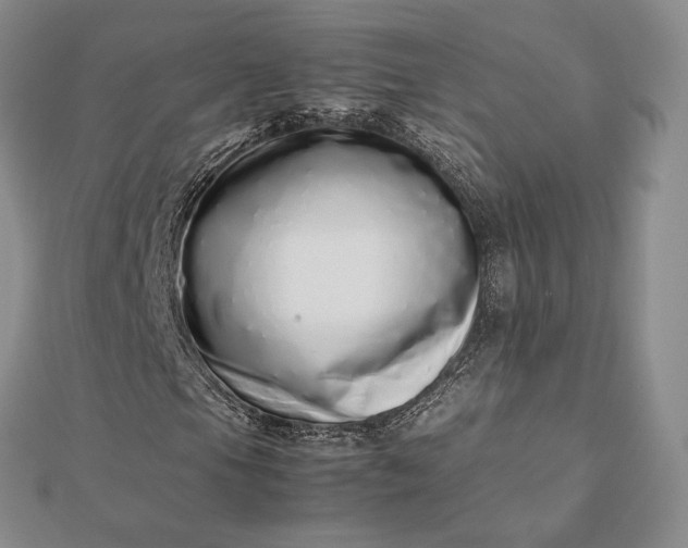 X0000112491105200908311426