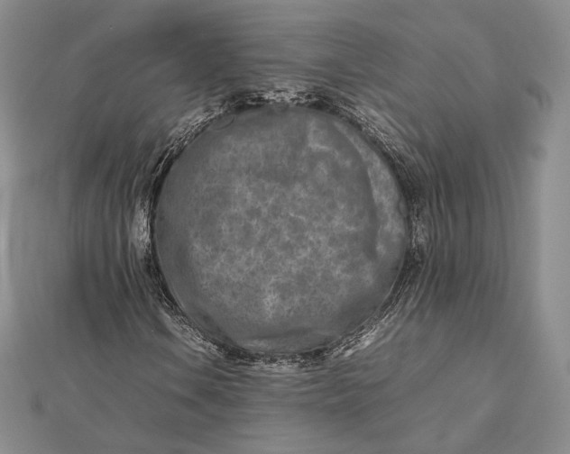 X0000112491106200908311426