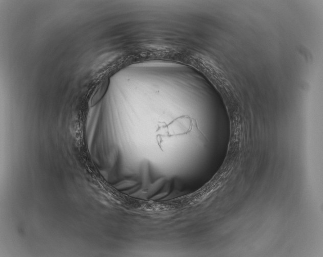 X0000112491109200908311426