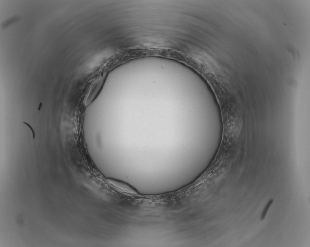 X0000112491110200908311426