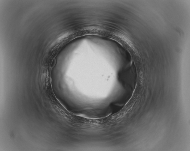 X0000112491111200908311426