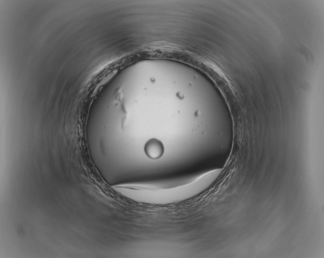 X0000112491112200908311426