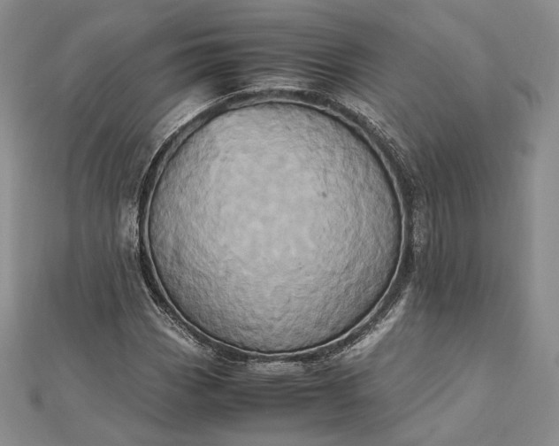 X0000112491113200908311426