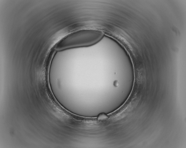 X0000112491114200908311426