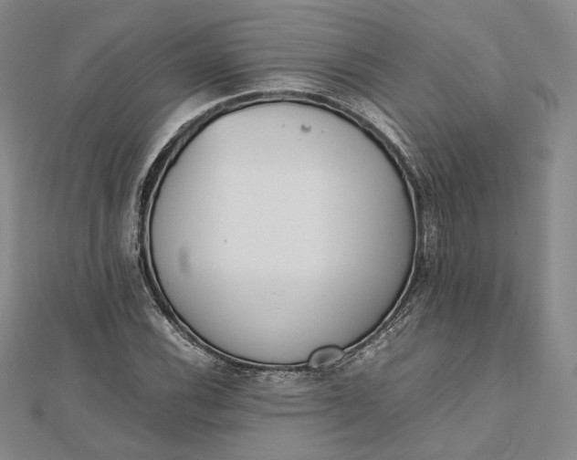 X0000112491116200908311426