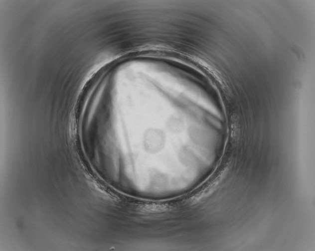 X0000112491117200908311426