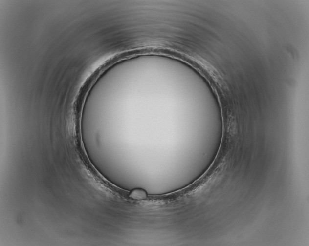 X0000112491118200908311426