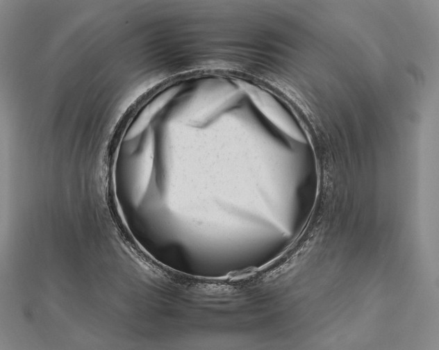 X0000112491119200908311426