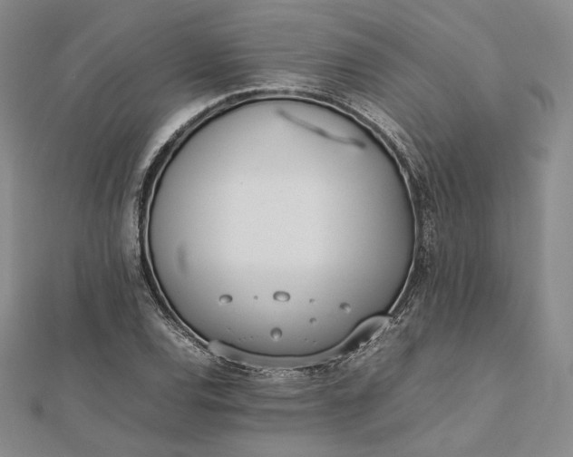 X0000112491120200908311426