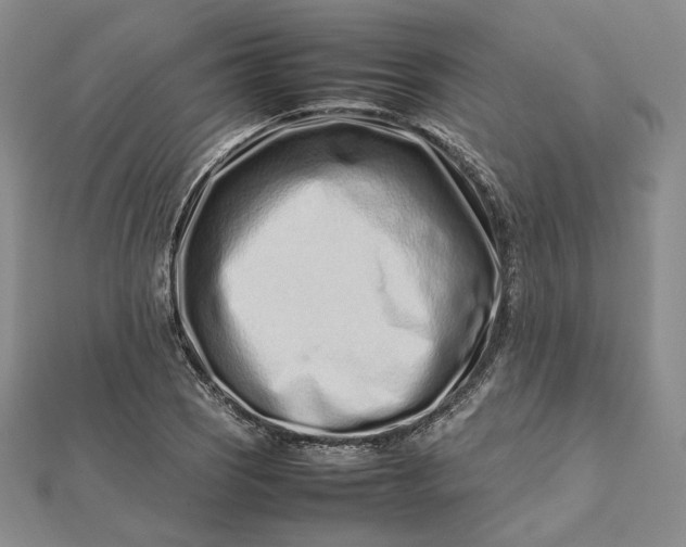 X0000112491121200908311426