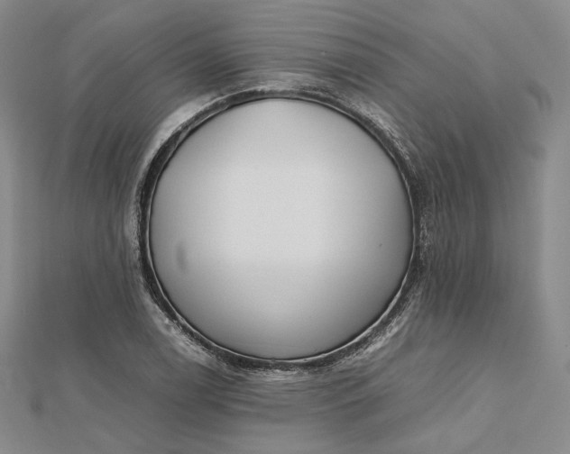 X0000112491122200908311426