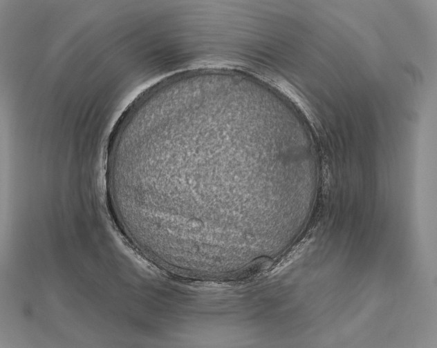 X0000112491124200908311426