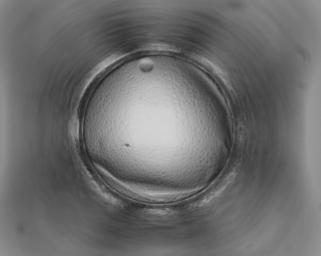 X0000112491125200908311426