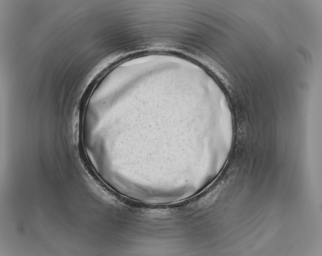 X0000112491126200908311426