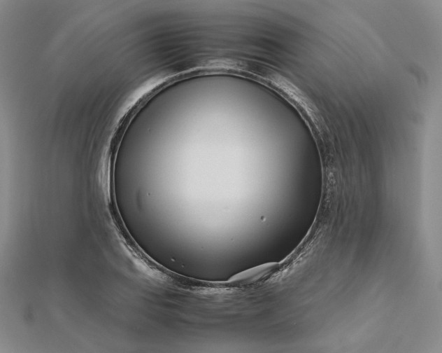 X0000112491127200908311426