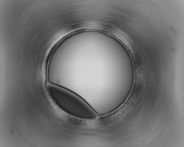 X0000112491128200908311426