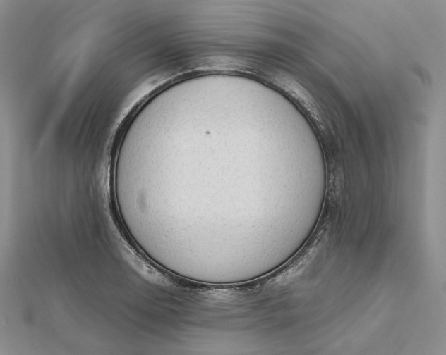 X0000112491130200908311426