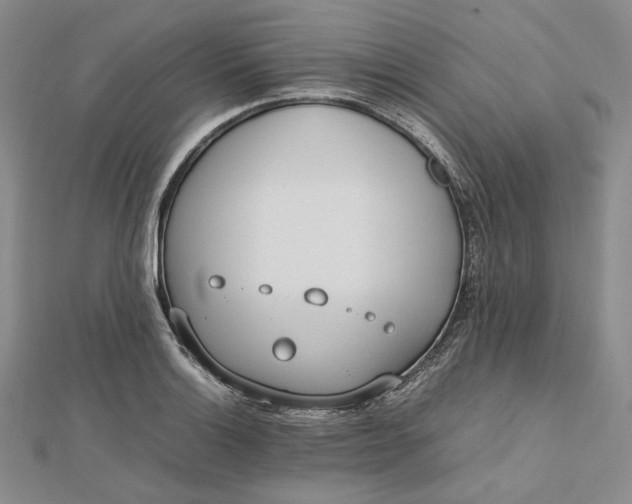 X0000112491132200908311426