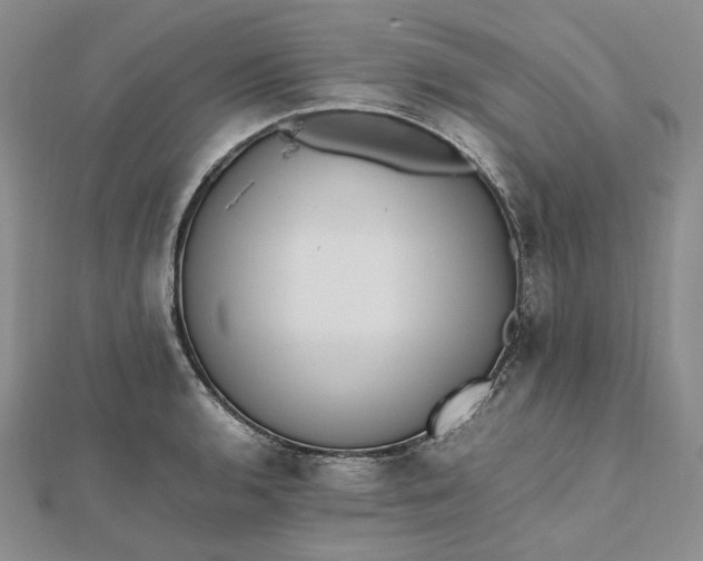 X0000112491136200908311426