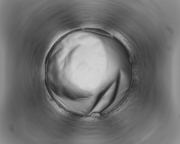 X0000112491140200908311426