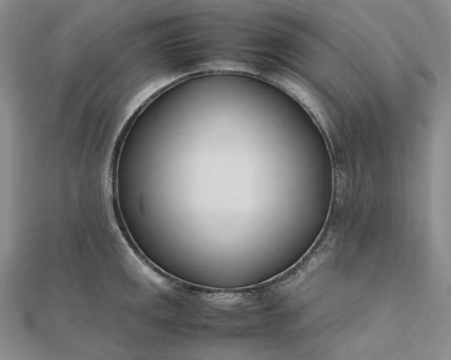 X0000112491141200908311426