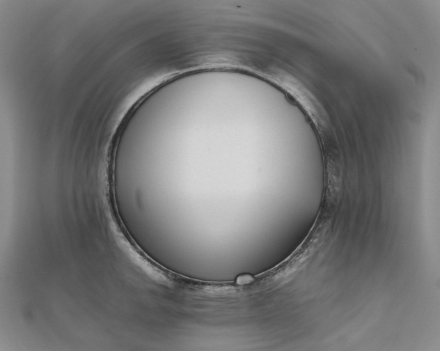 X0000112491142200908311426