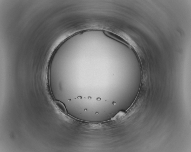 X0000112491144200908311426