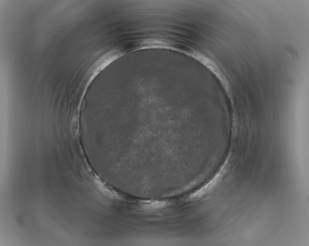 X0000112491145200908311426