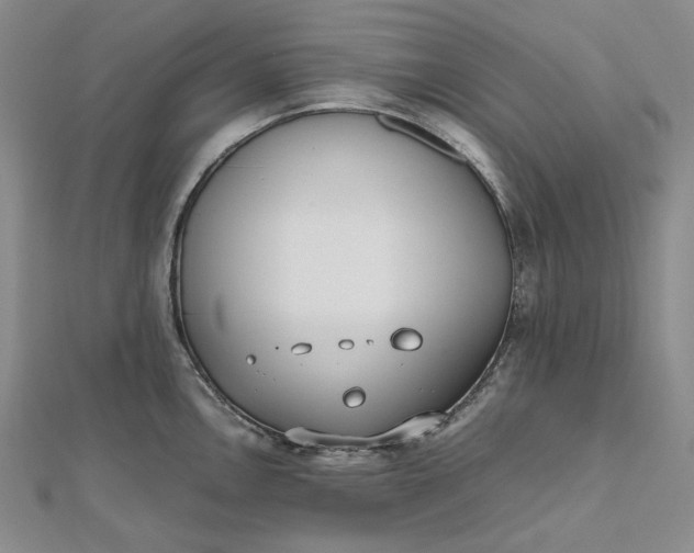 X0000112491146200908311426