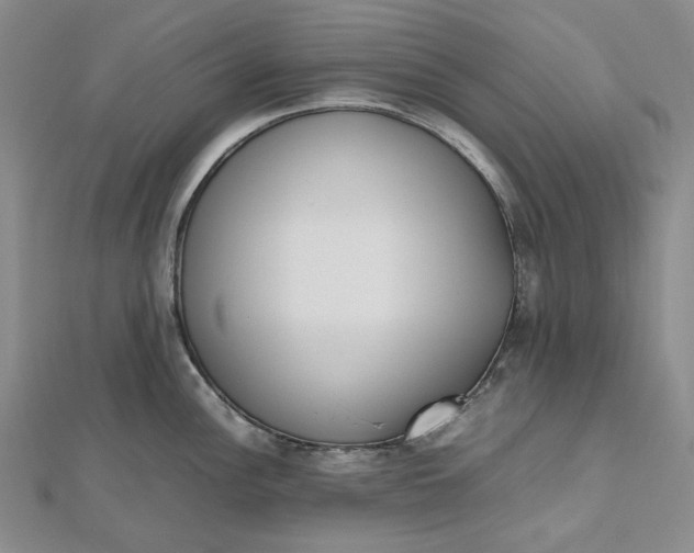 X0000112491148200908311426