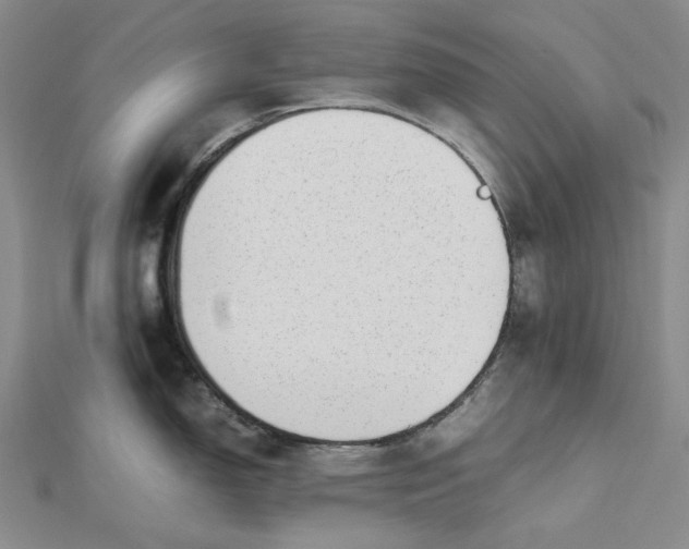 X0000112491150200908311426