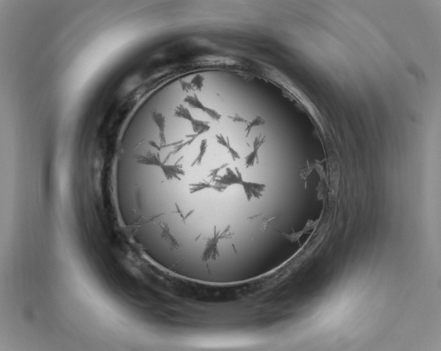 X0000112491151200908311426