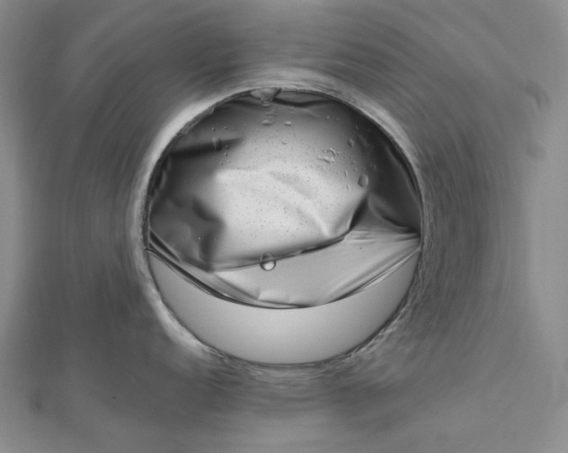 X0000112491152200908311426