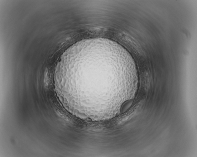 X0000112491154200908311426