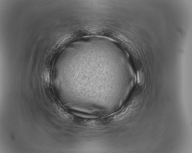 X0000112491155200908311426