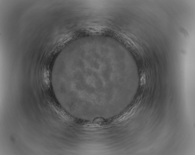 X0000112491156200908311426