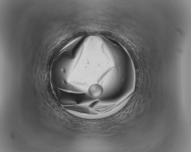 X0000112491157200908311426