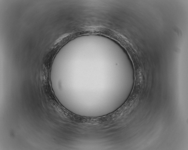 X0000112491158200908311426